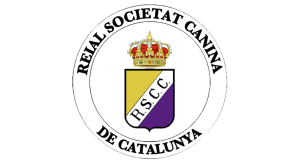 Curs d’educador/a i ensinistrador/a cani – Comencem el setembre del 2025