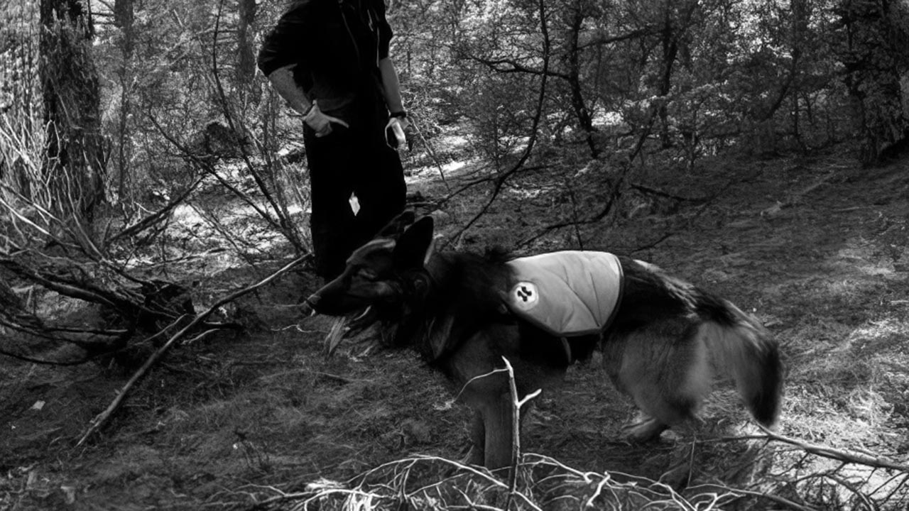 metode-ercbuli-3-retoc