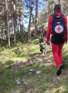 Homologacions dels gossos de recerca de persones desaparegudes de la Creu Roja al Port del Comte